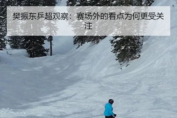 樊振东乒超观察：赛场外的看点为何更受关注